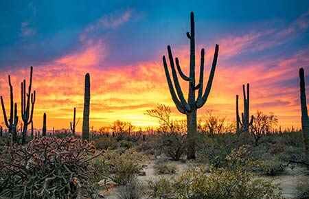 apprenticeship Arizona