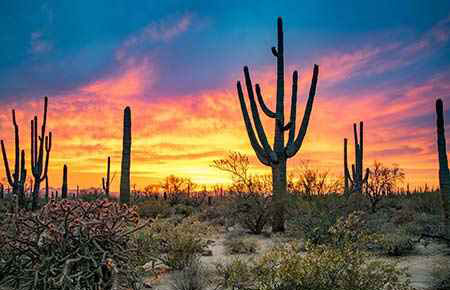 Apprenticeship Arizona