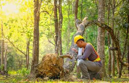 environmental engineering