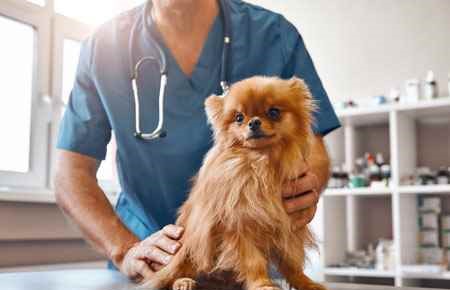 veterinary
